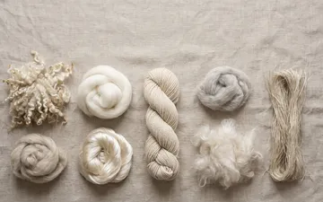 Fiber Lexicon